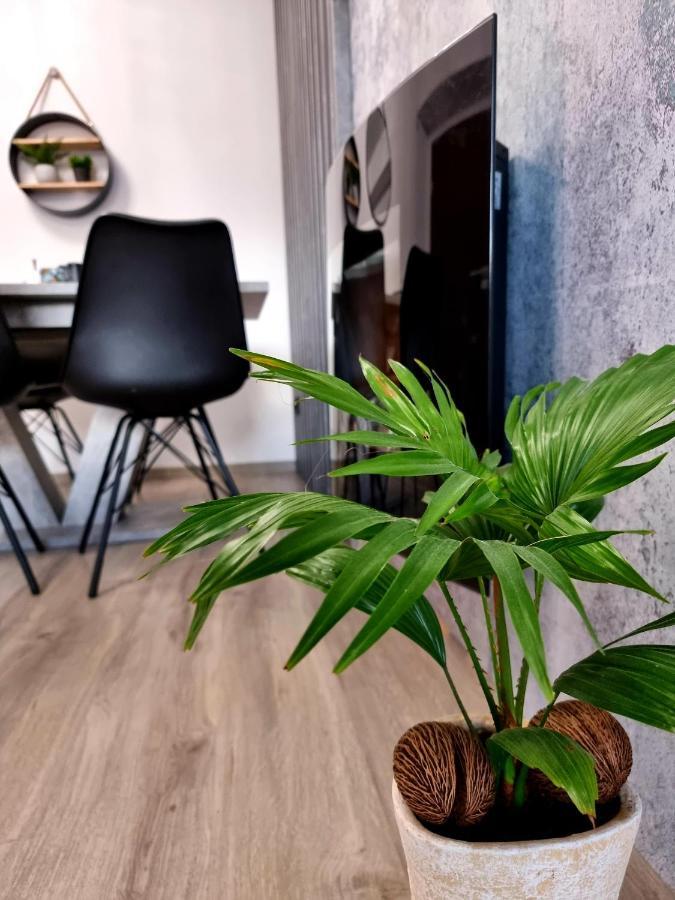 Apartament Jelonek W Karkonoszach Jelenia Góra Exteriör bild