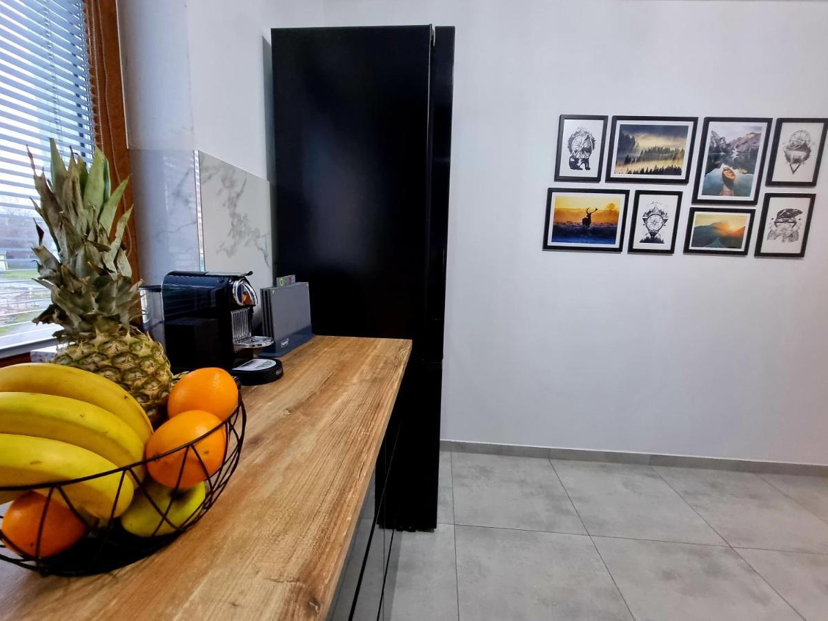 Apartament Jelonek W Karkonoszach Jelenia Góra Exteriör bild